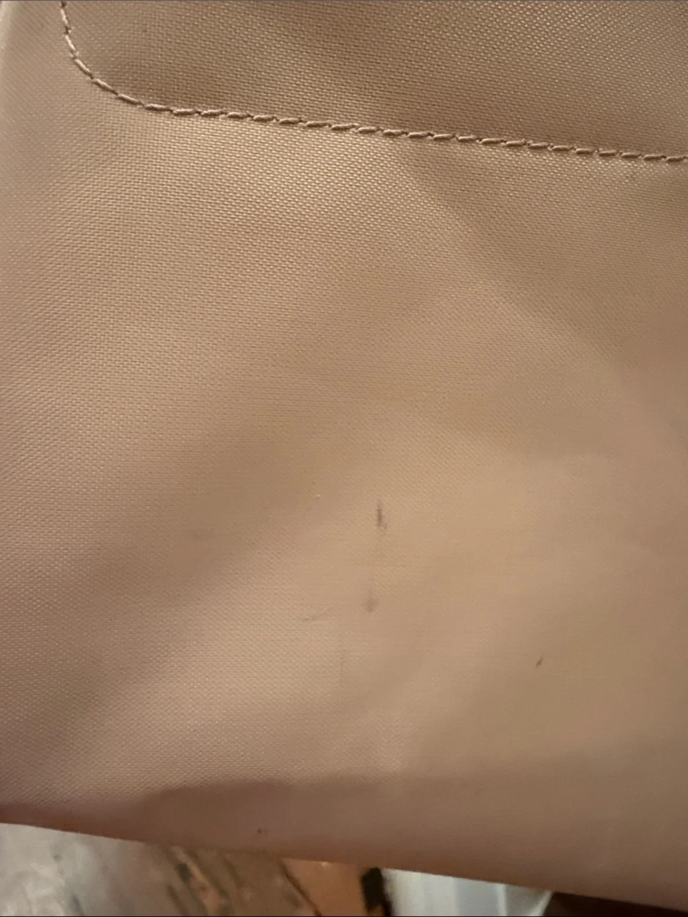 Longchamp Blush Pink Le Pliage Tote